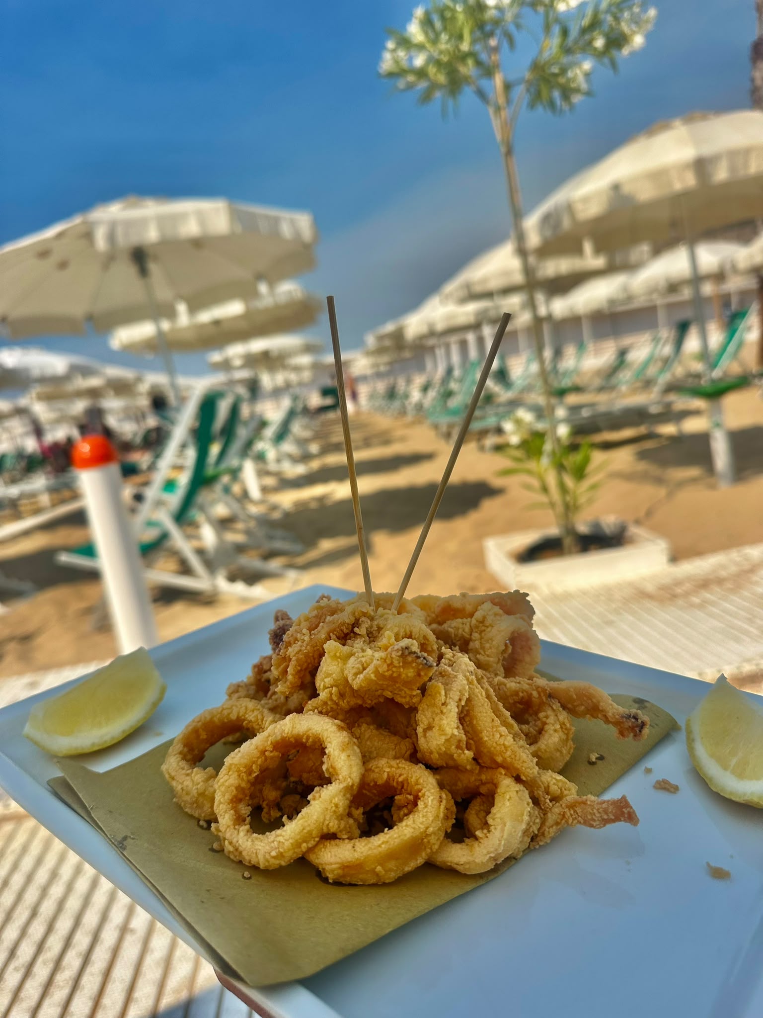 Piatto del Lido San Giuliano 1